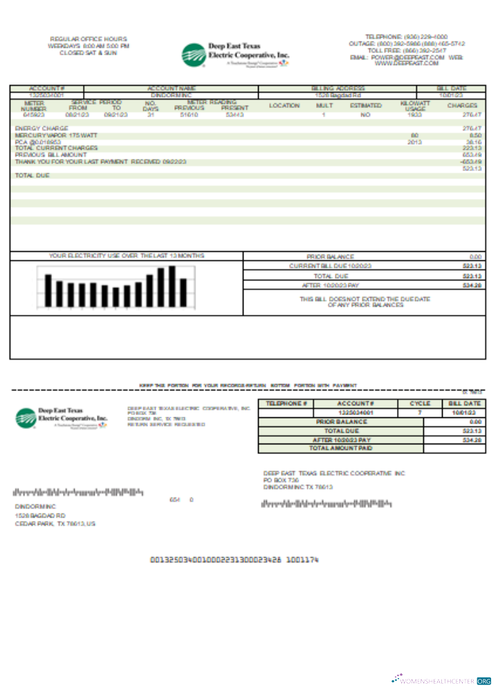 Download Deep East Texas Electric utility business bill, SCR Photoshop template